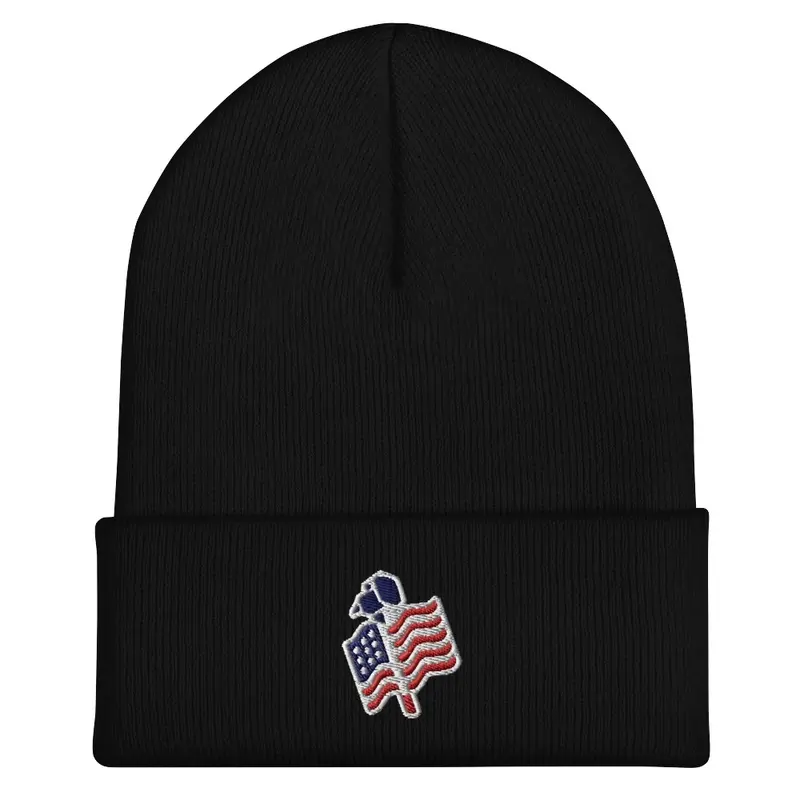 2024 Team America Beanie